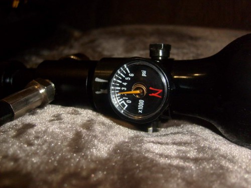 S6306750.JPG
