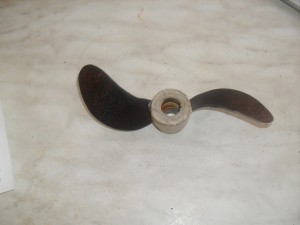SDC11461.JPG