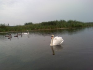 24-07-09_1710.jpg
