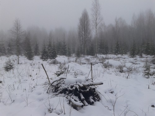 20140107_102705.jpg (2 МБ) Просмотров: 26933 20140107_102705.jpg