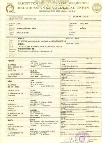 родословная  ХАНА.jpg