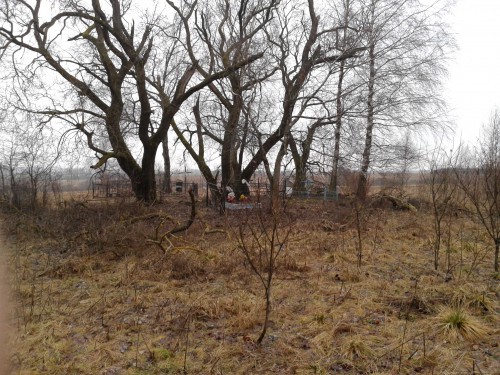 20140112_102905.jpg