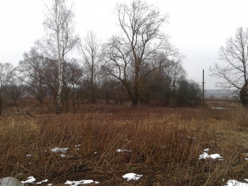 20140112_103021.jpg