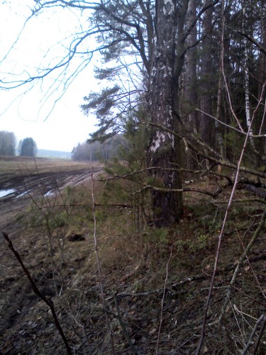 YP20140112145203.jpeg