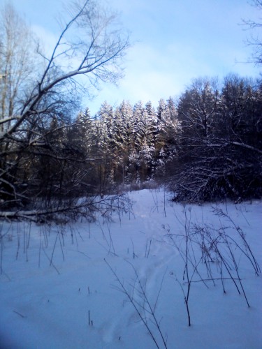 YP20140119130604.jpeg