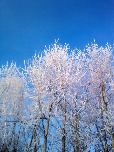 YP20140119103448.jpeg