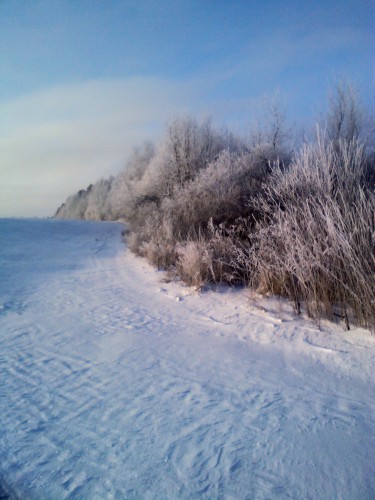 YP20140119103123.jpeg