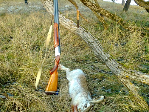 Заяц.jpg (1.46 МБ) Просмотров: 3355 Заяц.jpg