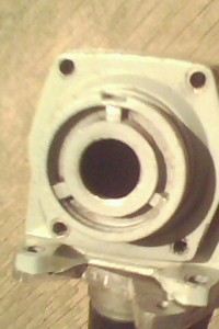 IMG0110A.jpg