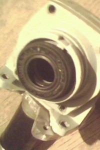 IMG0111A.jpg