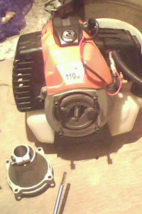 IMG0117A.jpg