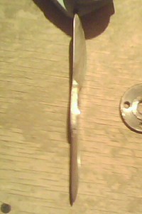 IMG0120A.jpg