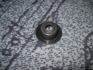 IMG_2691.jpg