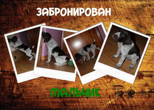 мальчик.jpg