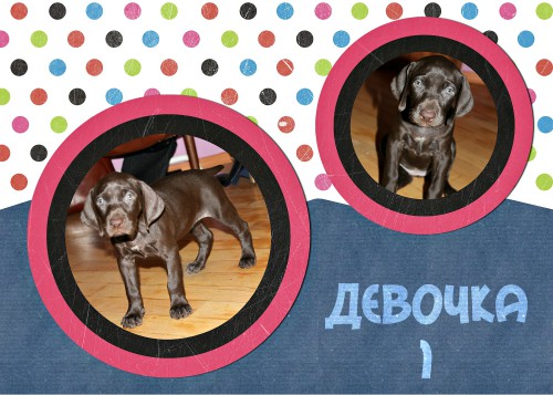 девочка 1.jpg