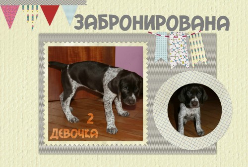 девочка 2.jpg