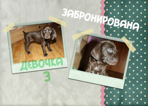 девочка 3.jpg
