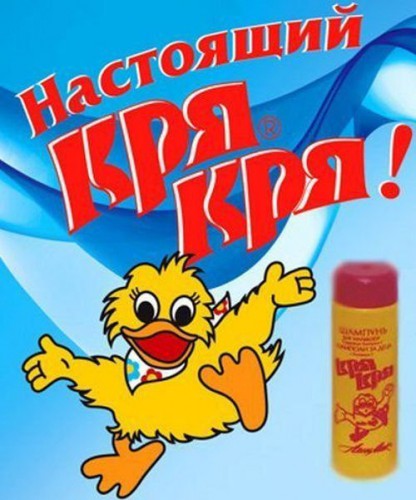 shkolote_ne_ponjat_87_foto_27.jpg
