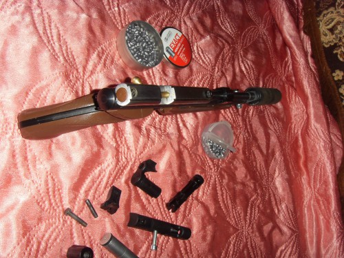 SDC10670.JPG
