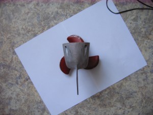 IMG_0001.jpg