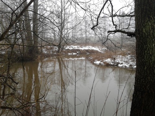 20140223_114012.jpg