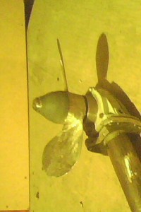 IMG0151A.jpg