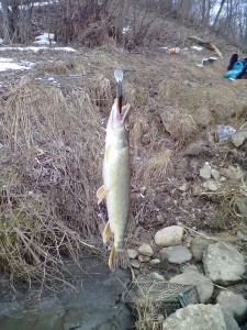 28032011108.jpg