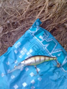 28032011110.jpg