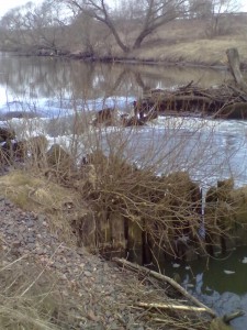 28032011113.jpg