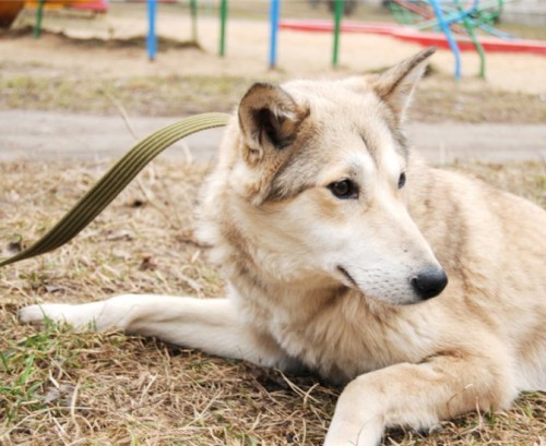 xkNepYfWHMU_cr.jpg (78.71 КБ) Просмотров: 29874 xkNepYfWHMU_cr.jpg