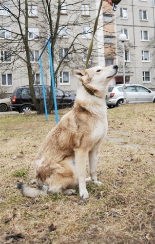 AJ-Tx0jclKA.jpg (126.65 КБ) Просмотров: 29863 AJ-Tx0jclKA.jpg
