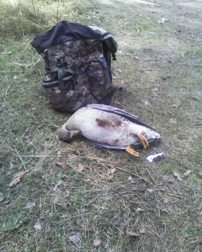 Фото 0790.jpg (464.76 КБ) Просмотров: 6163 Фото 0790.jpg