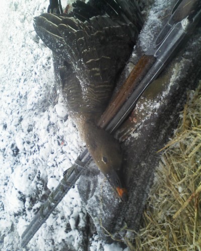 Фото 0791.jpg (332.85 КБ) Просмотров: 6175 Фото 0791.jpg