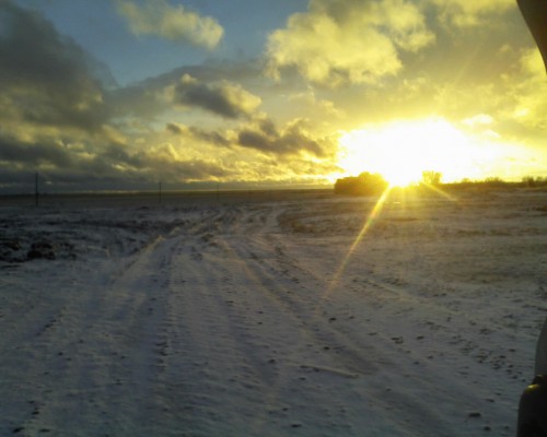 Фото 0792.jpg (187.4 КБ) Просмотров: 6163 Фото 0792.jpg