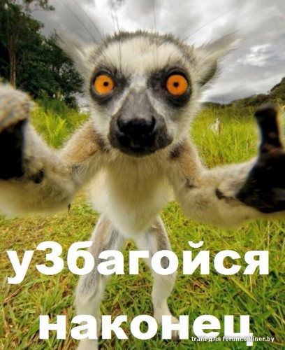 c5ec45a88c49dff6e78a7b1facbdf5aa.jpg