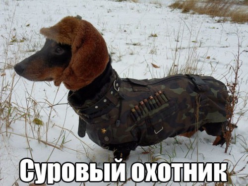 охотник.jpg