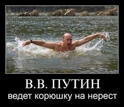 корюшка.jpg