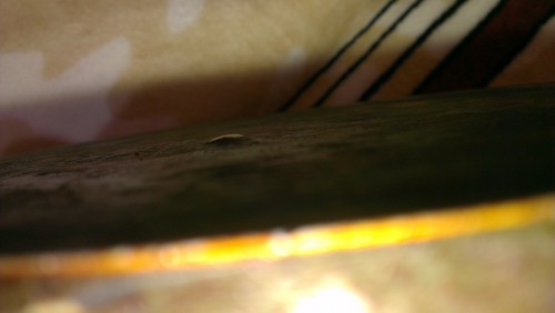 IMAG0488.jpg