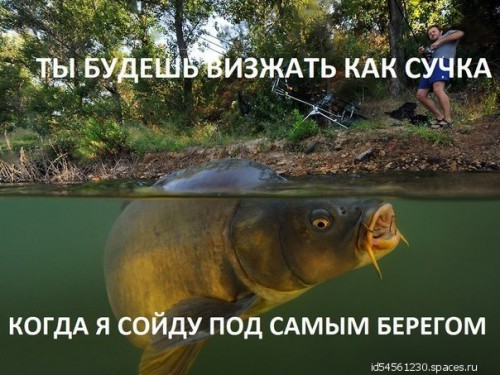 рыб.jpg