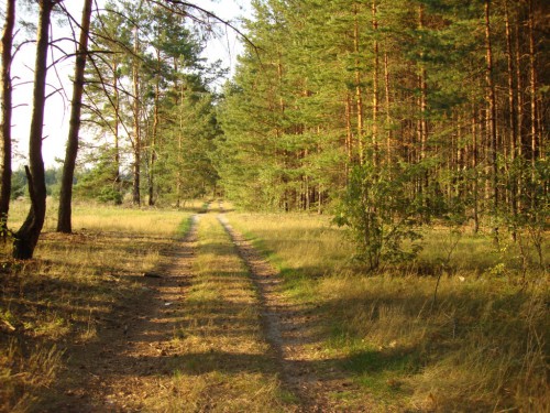 дорога3.JPG