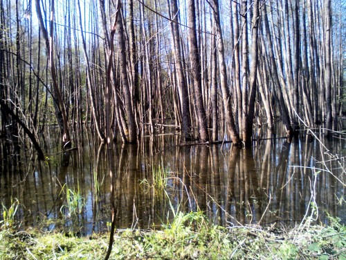 YP20140501084450.jpeg