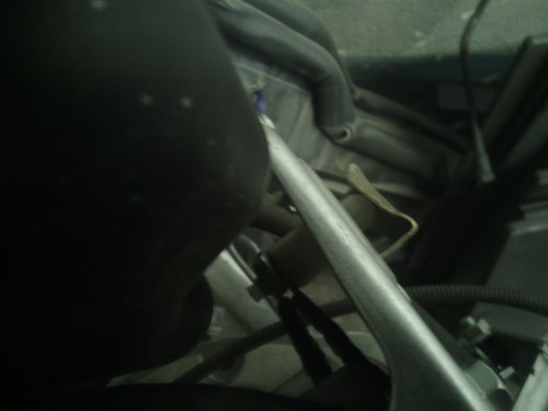 IMG_20140503_185701[1].jpg
