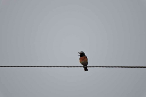 DSCN0712.JPG