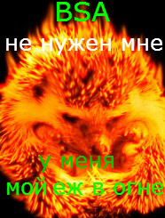 j963740_1266686261.jpg