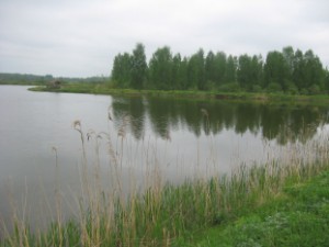 IMG_3804.jpg (62.3 КБ) Просмотров: 36152 IMG_3804.jpg