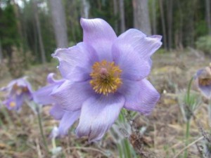 01.05.11-5.JPG