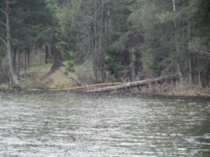 01.05.11-11.JPG