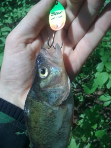 Фото0070.jpg (498.81 КБ) Просмотров: 4163 Фото0070.jpg