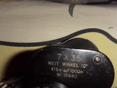SDC10847.JPG