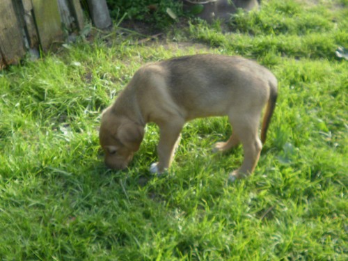 PB040001.jpg